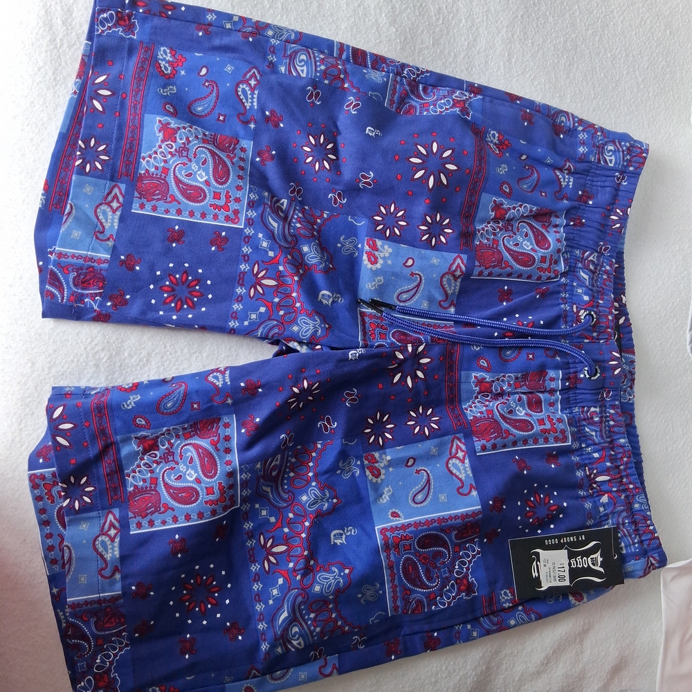 Paisley Blue Men's Shorts